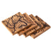 Cicada 4 Piece Coaster Set - Gourmet Gear