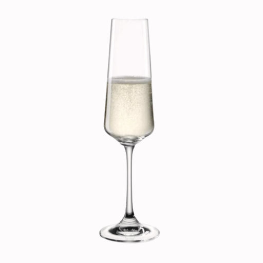 Leonardo Paladino Champagne Glass 220ml - Set of 6 - Gourmet Gear
