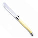 Andre Verdier Butter Knife - 17 Colours - Gourmet Gear