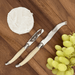 Andre Verdier Cheese Knife Single - 3 Colours - Gourmet Gear
