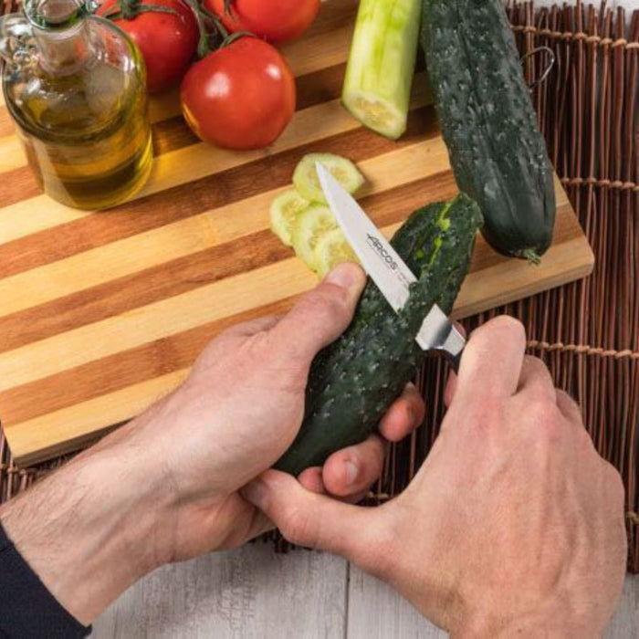 Arcos Manhattan Kitchen Starter Set of Knives - Gourmet Gear