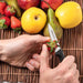 Arcos Niza Paring Knife - Gourmet Gear