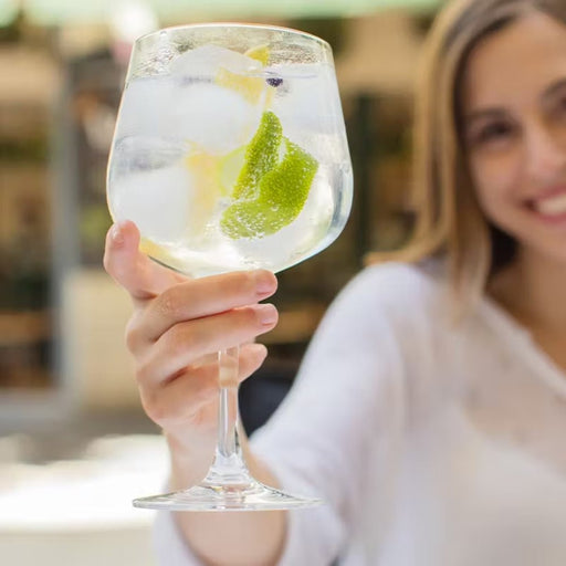 Crystalex Sandra Gin Glass 570ml – Set of 6 - Gourmet Gear