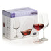Crystalex Sandra Red Wine Glass 450ml – Set of 6 - Gourmet Gear