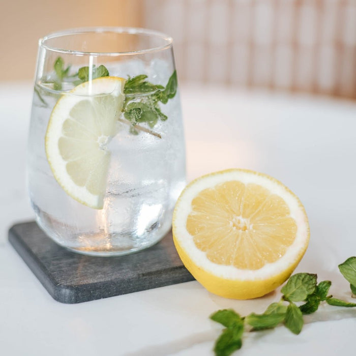 Diatomite Coasters 4pc Set – Natural Absorbent Stoneware - Gourmet Gear