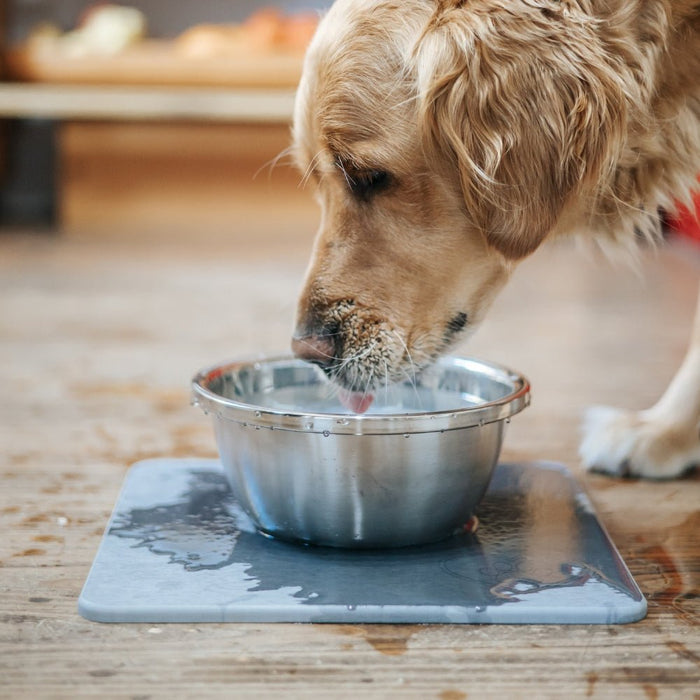 Diatomite Utility Slab – 30 x 30 cm - Gourmet Gear