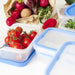 Emsa Clip & Close Food Container Rectangular - 550ml - Gourmet Gear