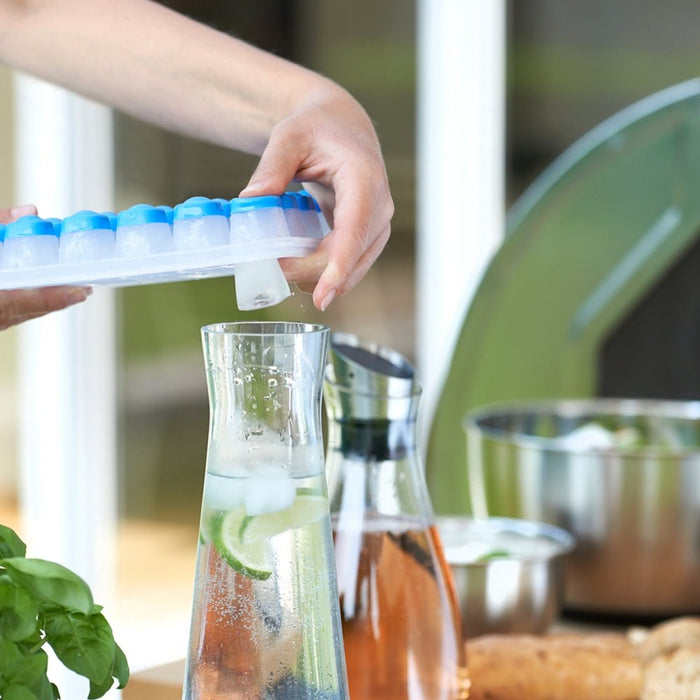 Emsa Clip & Close Ice Box - Gourmet Gear