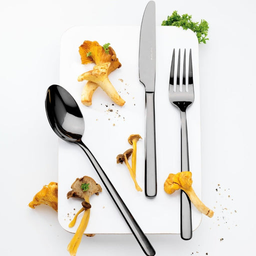 Eternum Nardo Black 16pc Cutlery Set - Gourmet Gear
