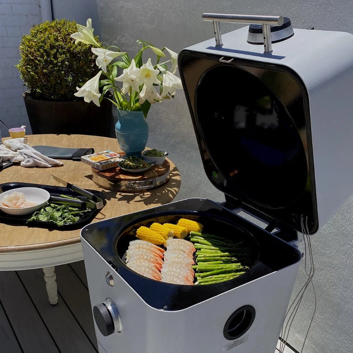 Everdure by Heston Blumenthal 4K Electric Electric Ignition Charcoal Outdoor Braai - 6 Colours - Gourmet Gear