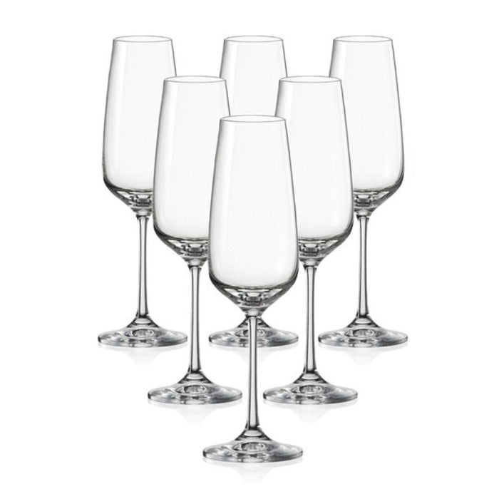Giselle Crystalex Bohemia Champagne Glasses, Set of 6 – 190ml - Gourmet Gear