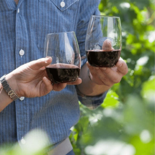 Govino Red Wine Glasses 470ml, Set of 2 - Gourmet Gear