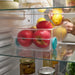 Joseph Joseph FridgeStore™ Large Storage Bin - Gourmet Gear
