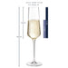 Leonardo Puccini 12 Piece Goblet Set - Gourmet Gear