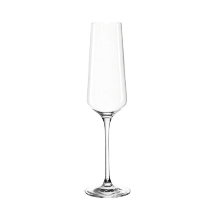 Leonardo Puccini Champagne Glass 280ml - Set of 6 - Gourmet Gear