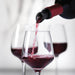 Nuance 4 - in - 1 wine Aerator, Filter, Pourer & Stopper - Gourmet Gear
