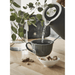 Swan Nordic Cordless Kettle - 4 Colours - Gourmet Gear